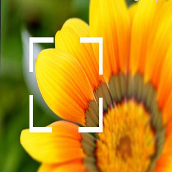 Prism Make Hawk Eye Vision HD Imaging System