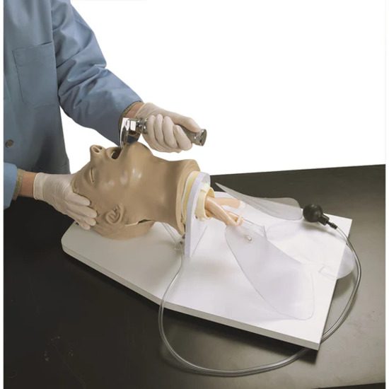 Airway Larry Adult Airway Management Trainer with Stand
