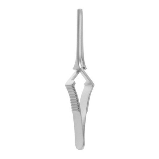 Bull Dog Clamp St. 2 inch