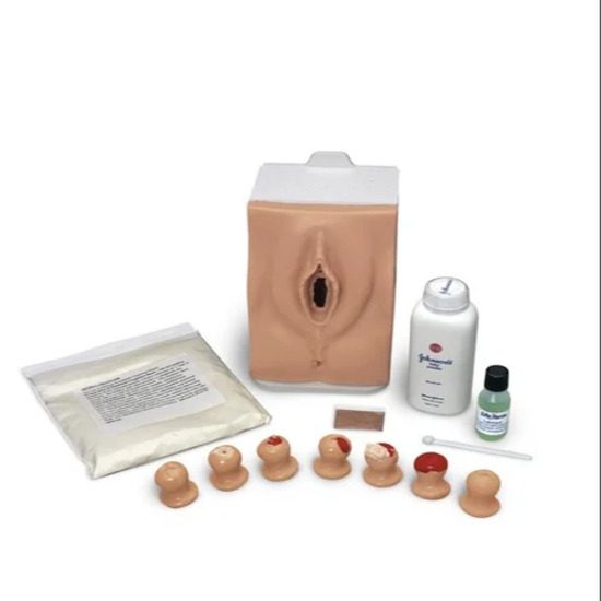 Cervical Exam And Pap Smear Test Trainer – Light