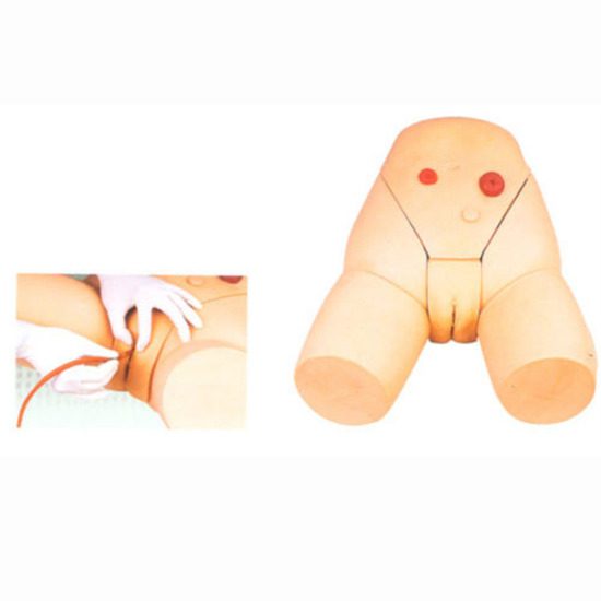 Female Catheterization Training Simulator Models