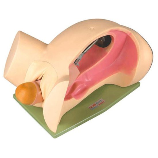 Leopold Maneuvers Models