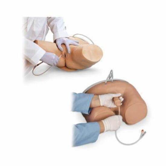 Male & Female Catheterization Simulator Set