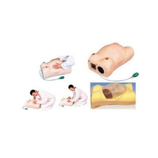 Maternity Examination Models
