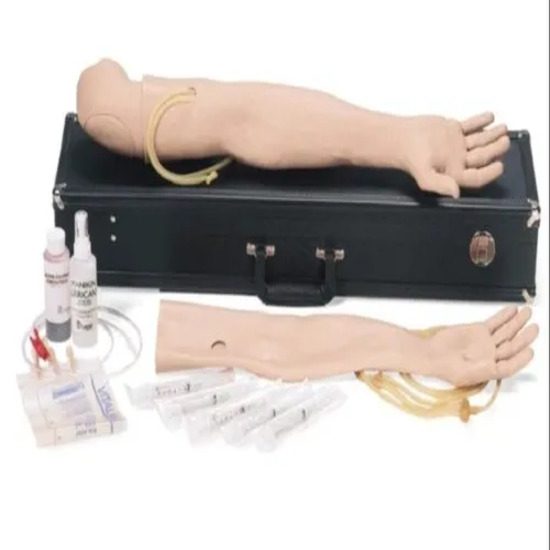 Multi Venous IV Training Arm