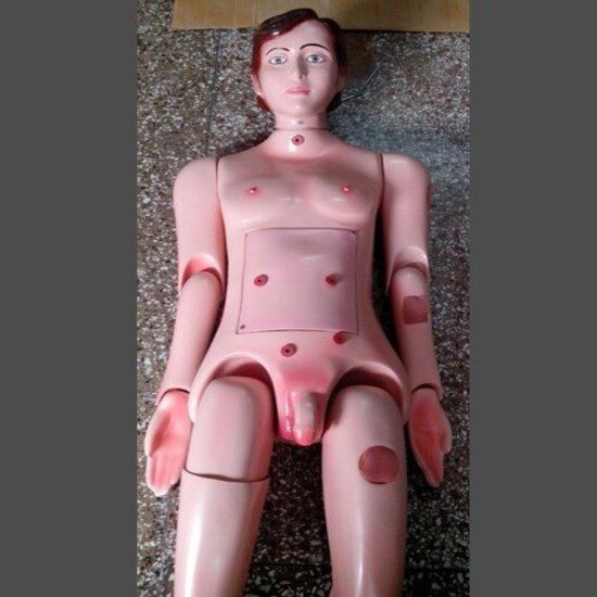 Nursing Dummies Male Made of Fibre Glass Life Size