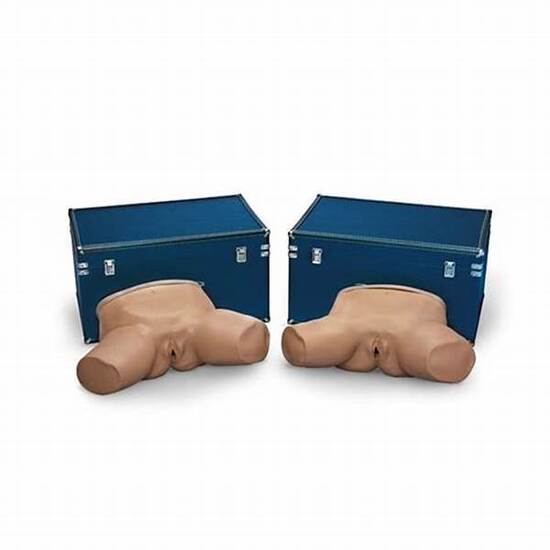 Pelvic Examination Set Models