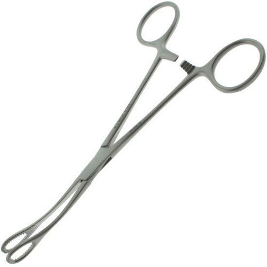 Sponge Holding Forceps, 10 inch