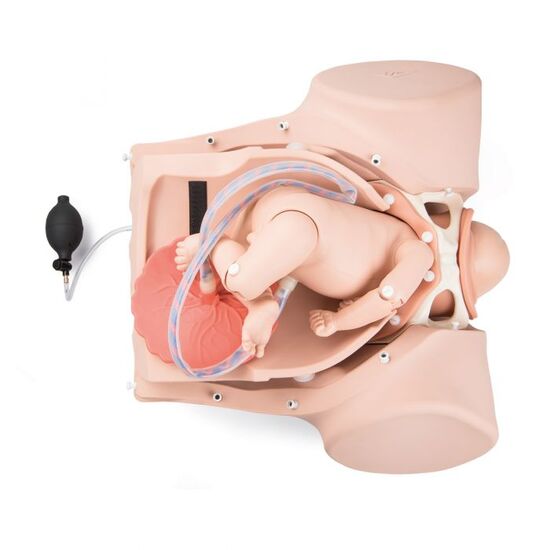 3B Birthing Simulator P90 PRO