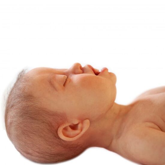 ALS 3-6 Month Infant