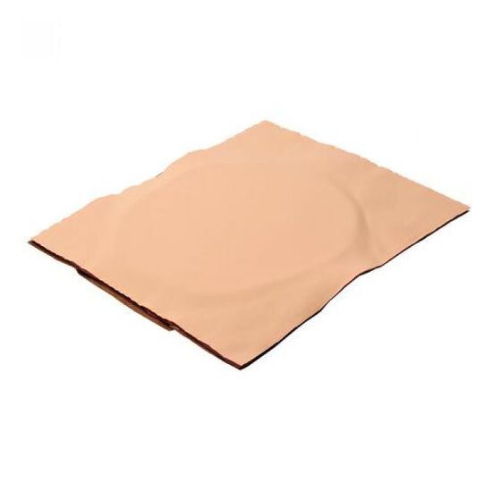 Abdominal Skin with Fatty Tissue