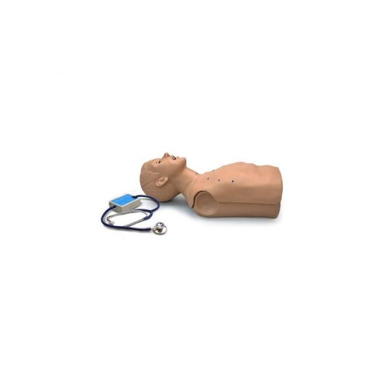 Adult Heart and Lung Sounds Torso
