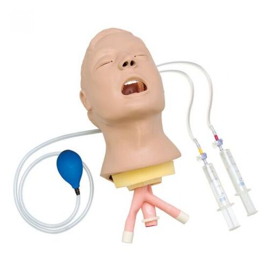 Advanced Airway Larry Trainer Head