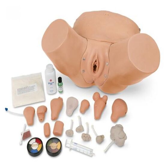 Advanced Pelvic Examination and Gynecological Simulator