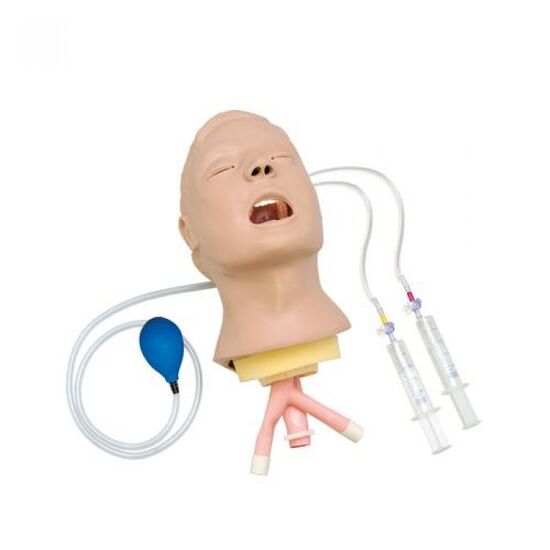 Airway Larry- Adult Airway Management Trainer Head