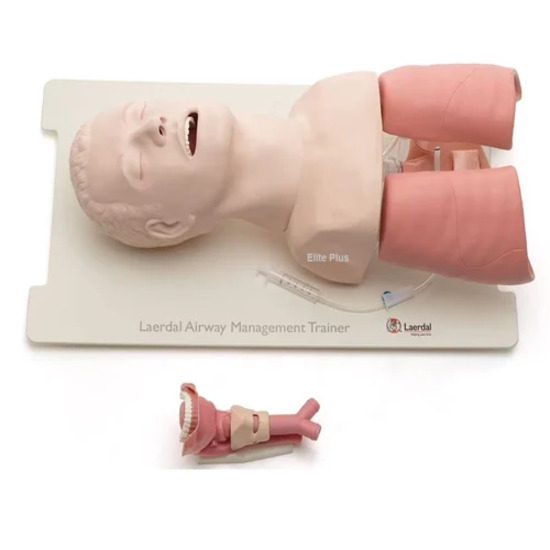 Airway Management Trainer