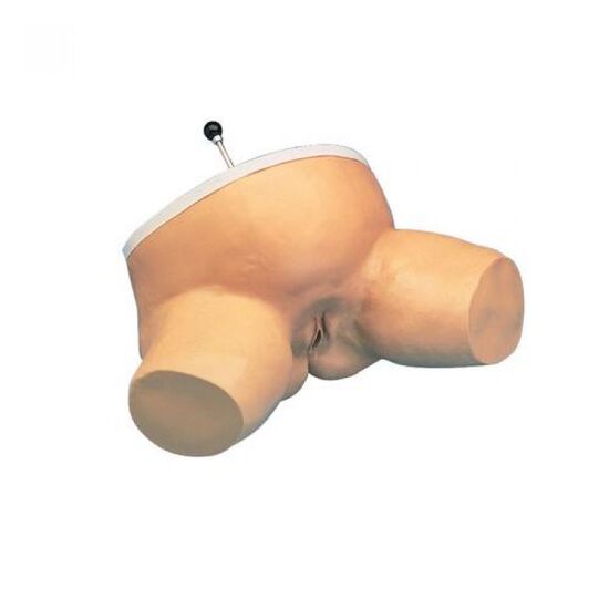 Birthing Station Simulator