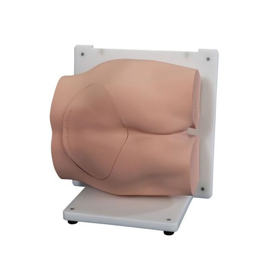 Bonnie Bone Marrow Biopsy Skills Trainer