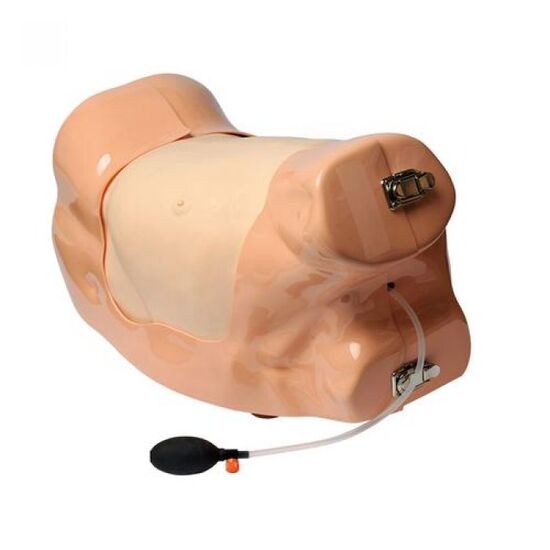 Chest Drain Simulator