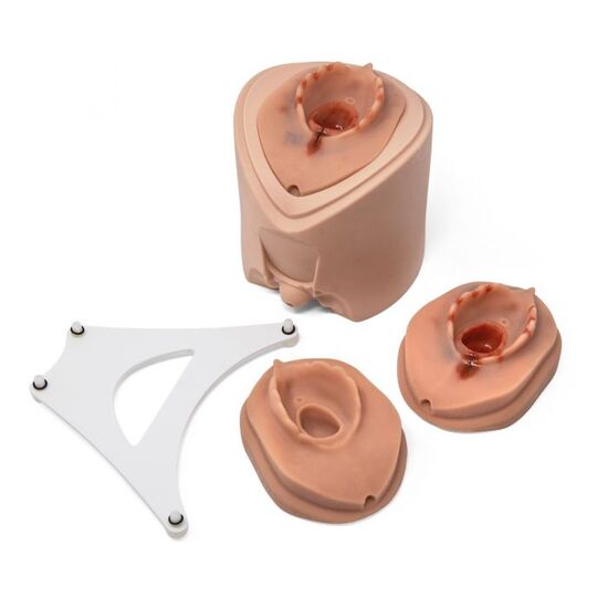 Episiotomy Suture Training Module for Birthing Simulator P90