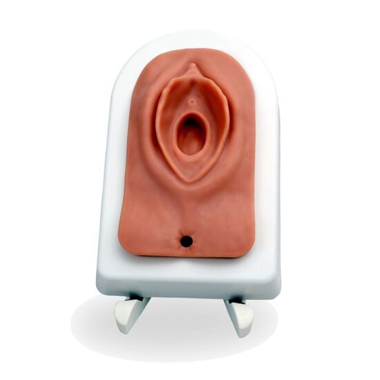 Episiotomy and Suture Trainer