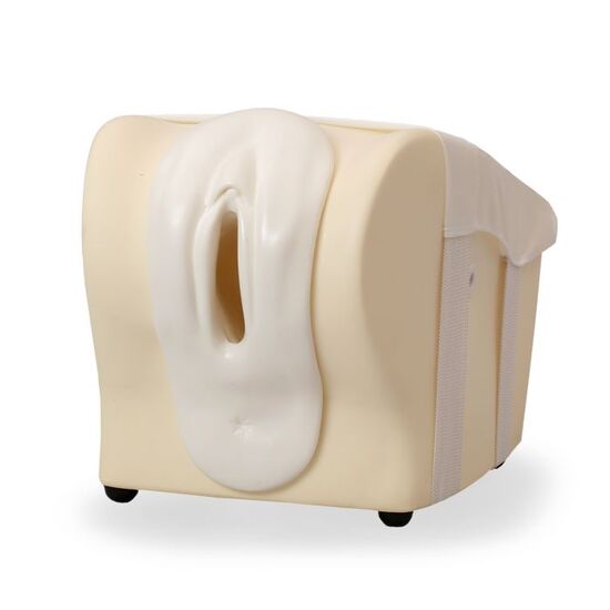 Family Planning Educator