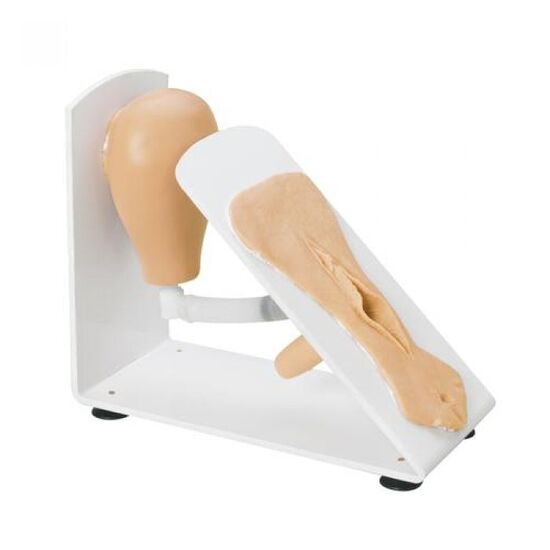 Female Catheterization Trainer
