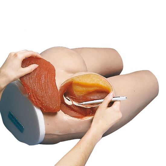 I.M. Injection Simulator