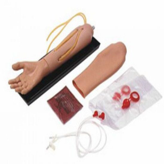 I.V. Lower Arm with Hand Porduct
