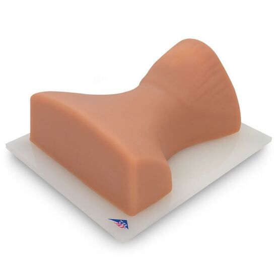 Image Guided Cervical Spine Injection Trainer P67