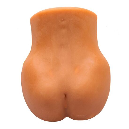 Image Guided Lumbar Spinal Injection Trainer P65