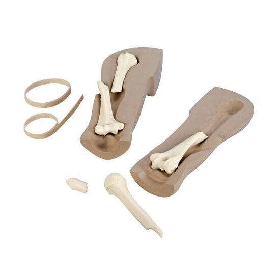 Imaging Fracture Simulator