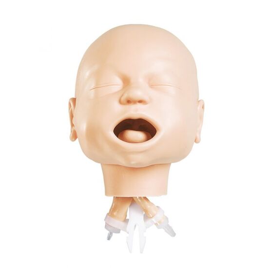 Infant Airway Management Trainer, Head Only