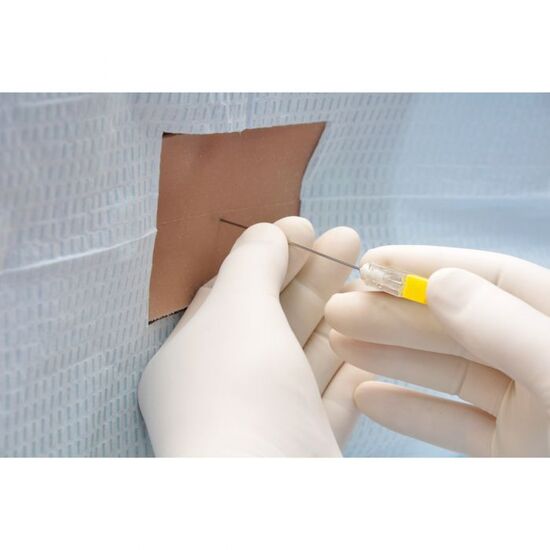 Lumbar Puncture Trainer