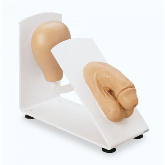 Male Catheterization Trainer
