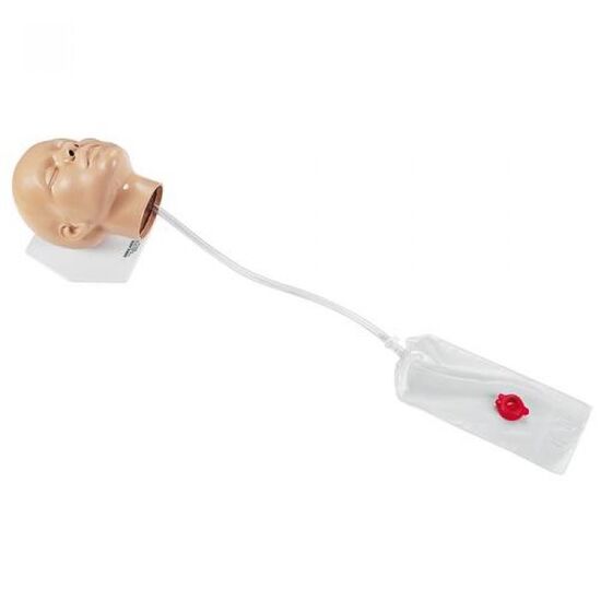 NG Tube Insertion Trainer