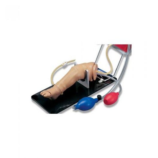 Newborn Intraosseous Infusion and Injection Leg