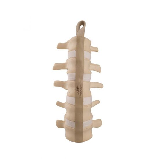 ORTHObones Standard Lumbar Spine