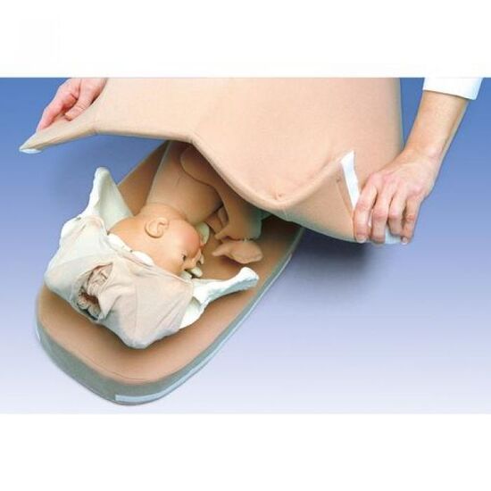 Palpation Model for Leopold’s Maneuver