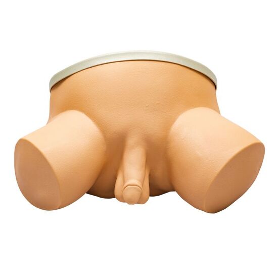 Prostate Examination Simulator