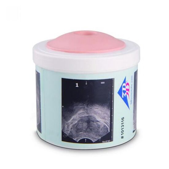 Prostate Examination Trainer, 4 stages