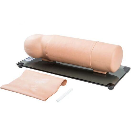 Reproductive Implant Training Arm-medium skin tone