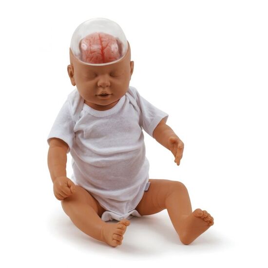 Shaken Baby Demonstration Model