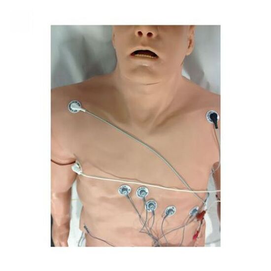 Simulator 12-Lead Arrhythmia with Manikin Overlay – Zoll, Large