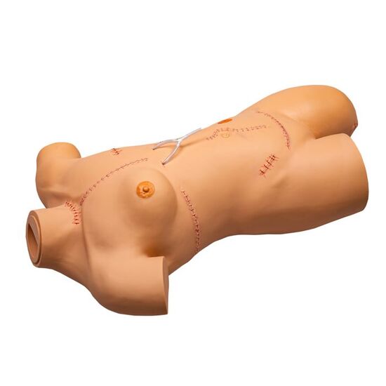 Trainer for wound care and bandaging techniques