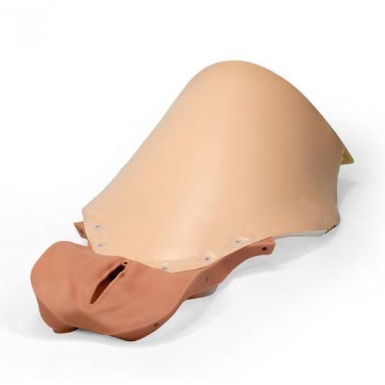 Vagina and Abdominal cover for PPH Trainer P97