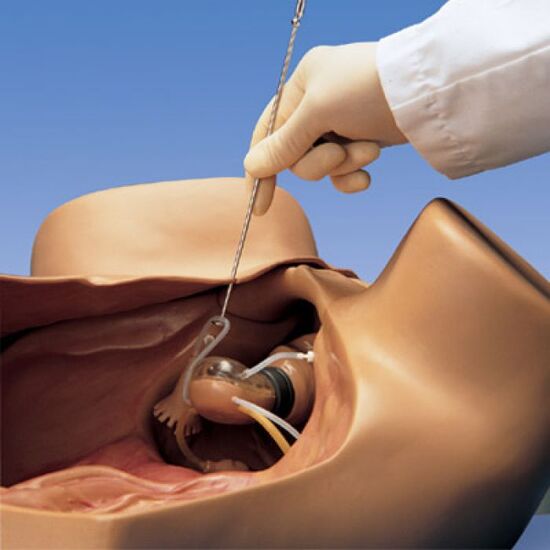 ZOE Gynecologic Simulator-Light