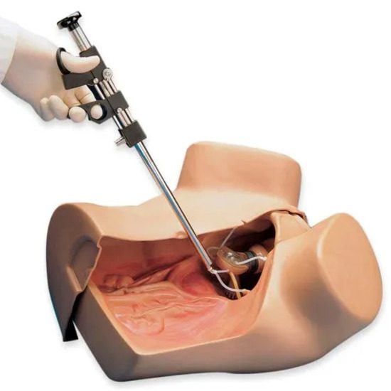 Zoe Gynecologic Simulator
