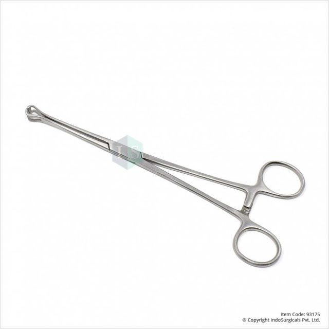 Babcock Forceps 6 inch