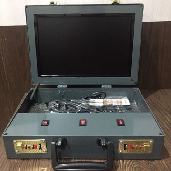 Portable Endoscopy System